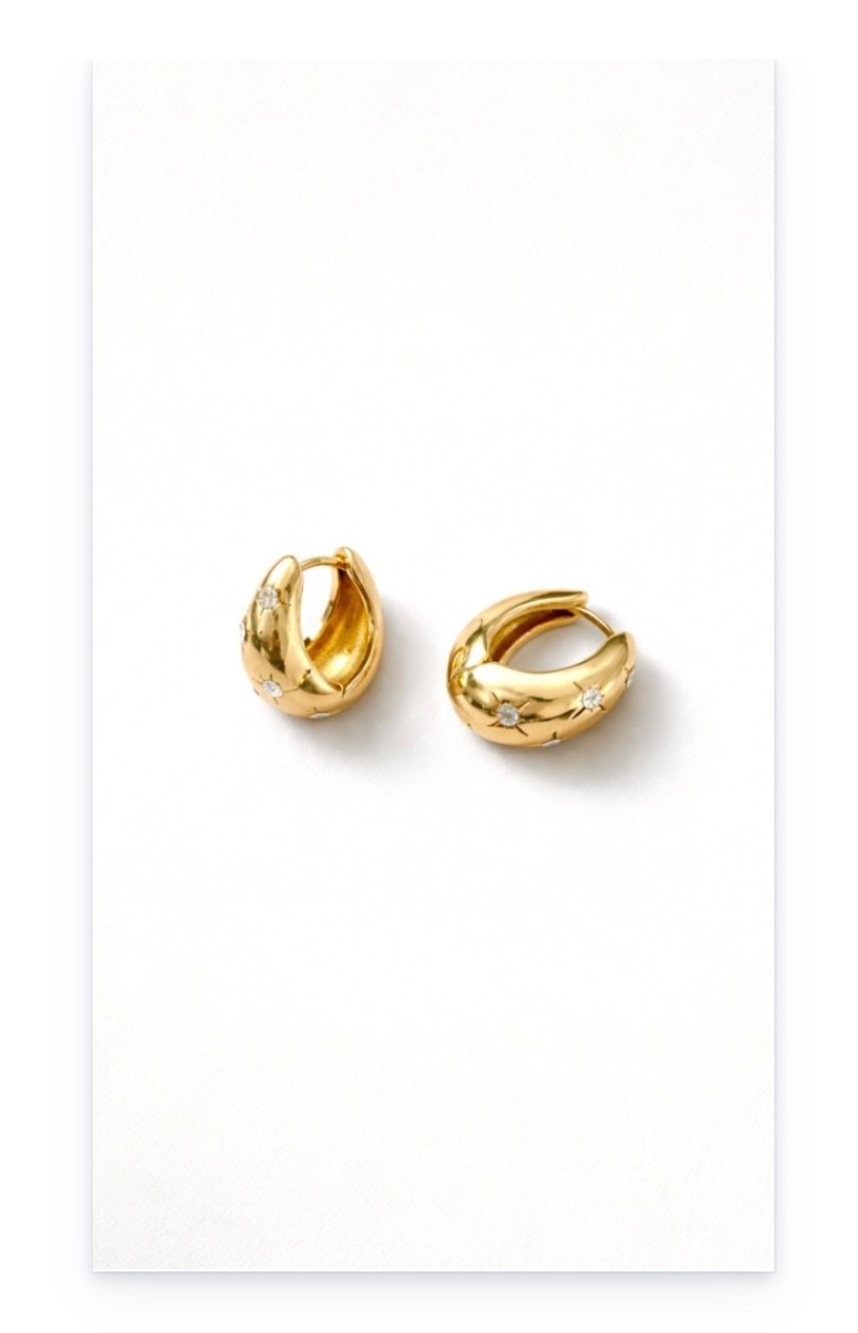 Fashion Hoop earrings