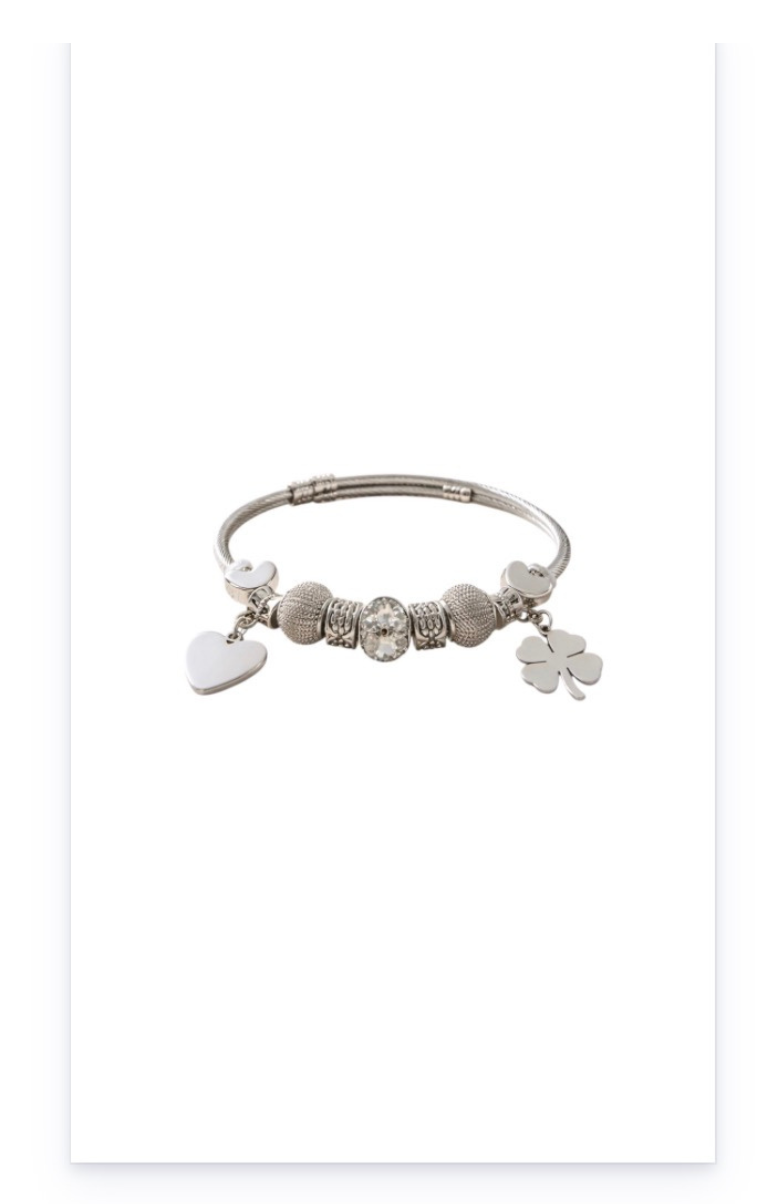 Stainless steel bracelet with dangling charms