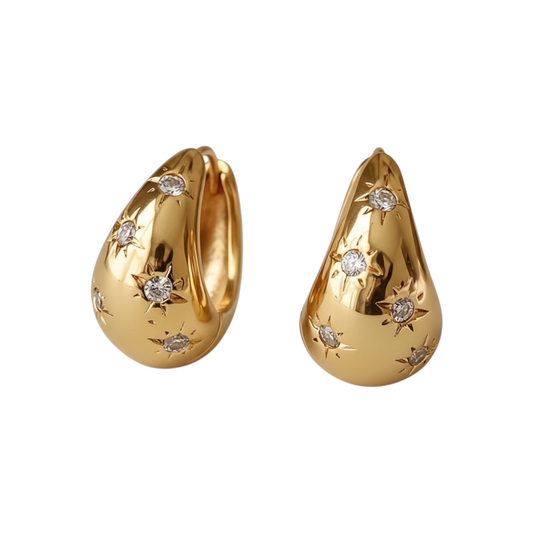 Fashion Hoop earrings