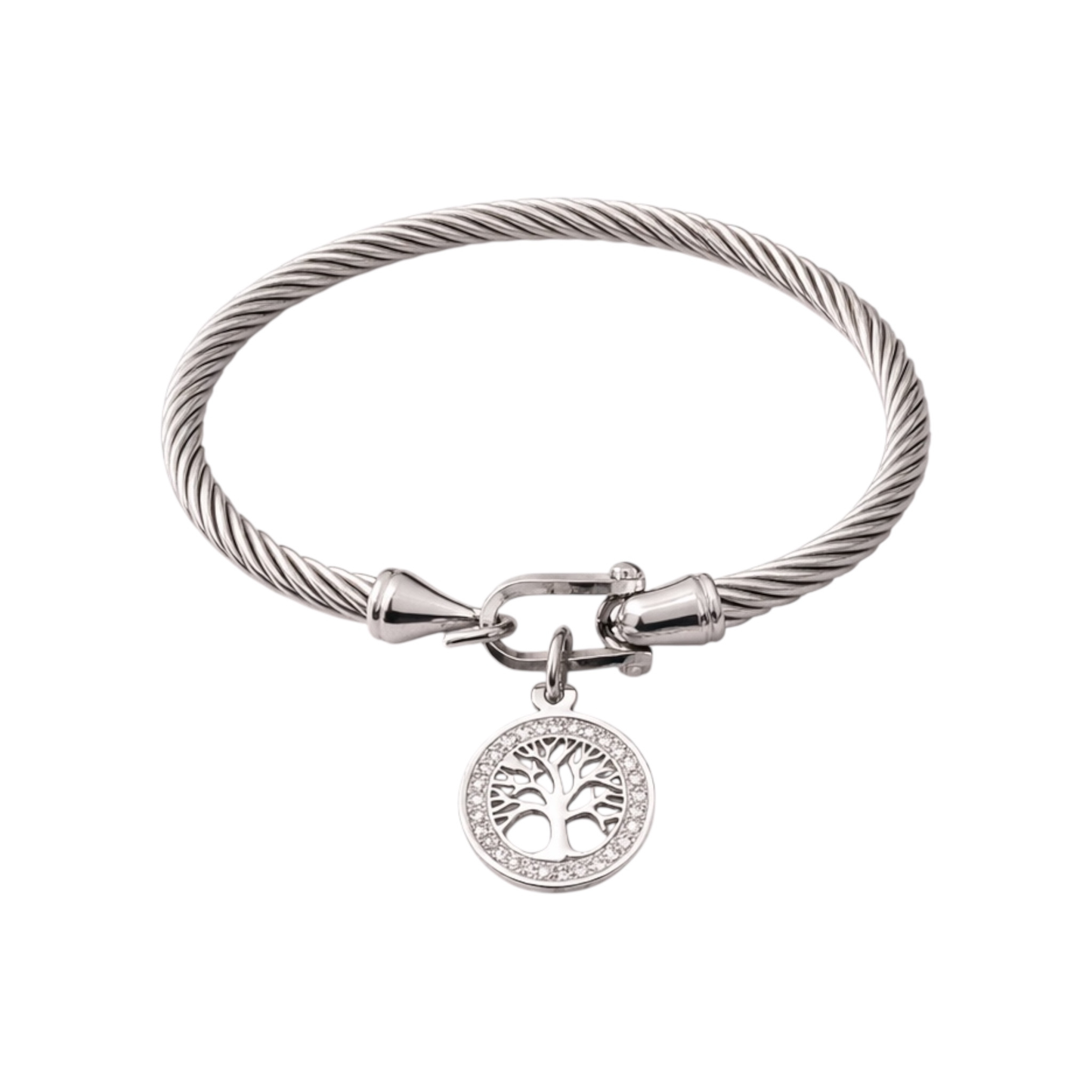 Polished Titanium steel bangle Bracelets
