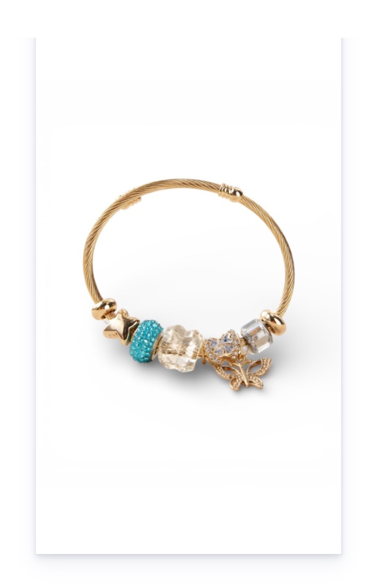 Stainless steel bracelet with dangling charms