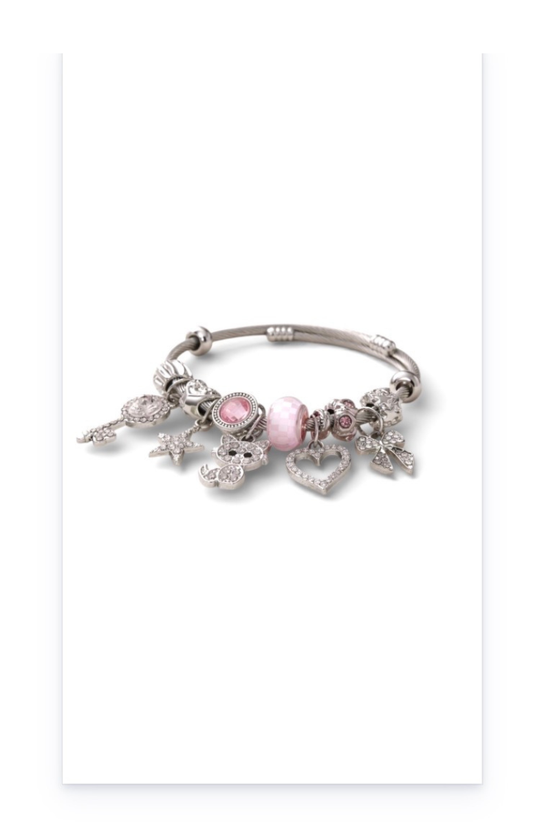 Stainless steel bracelet with dangling charms