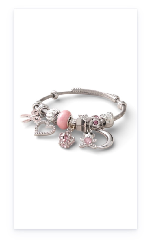 Stainless steel bracelet with dangling charms