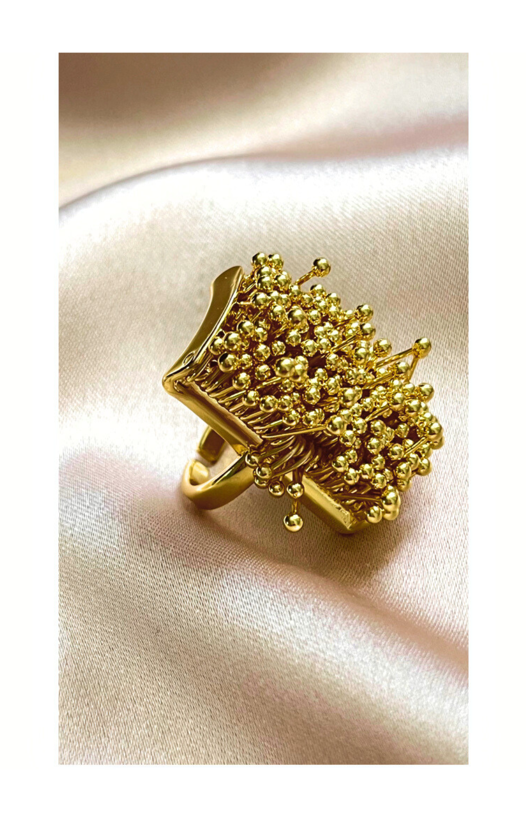 Geometric Open Ring