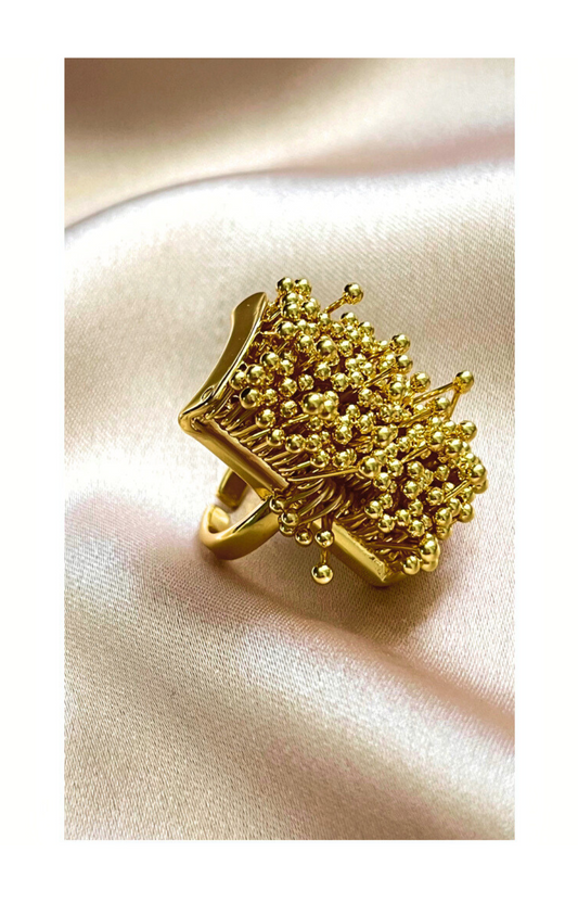 Geometric Open Ring