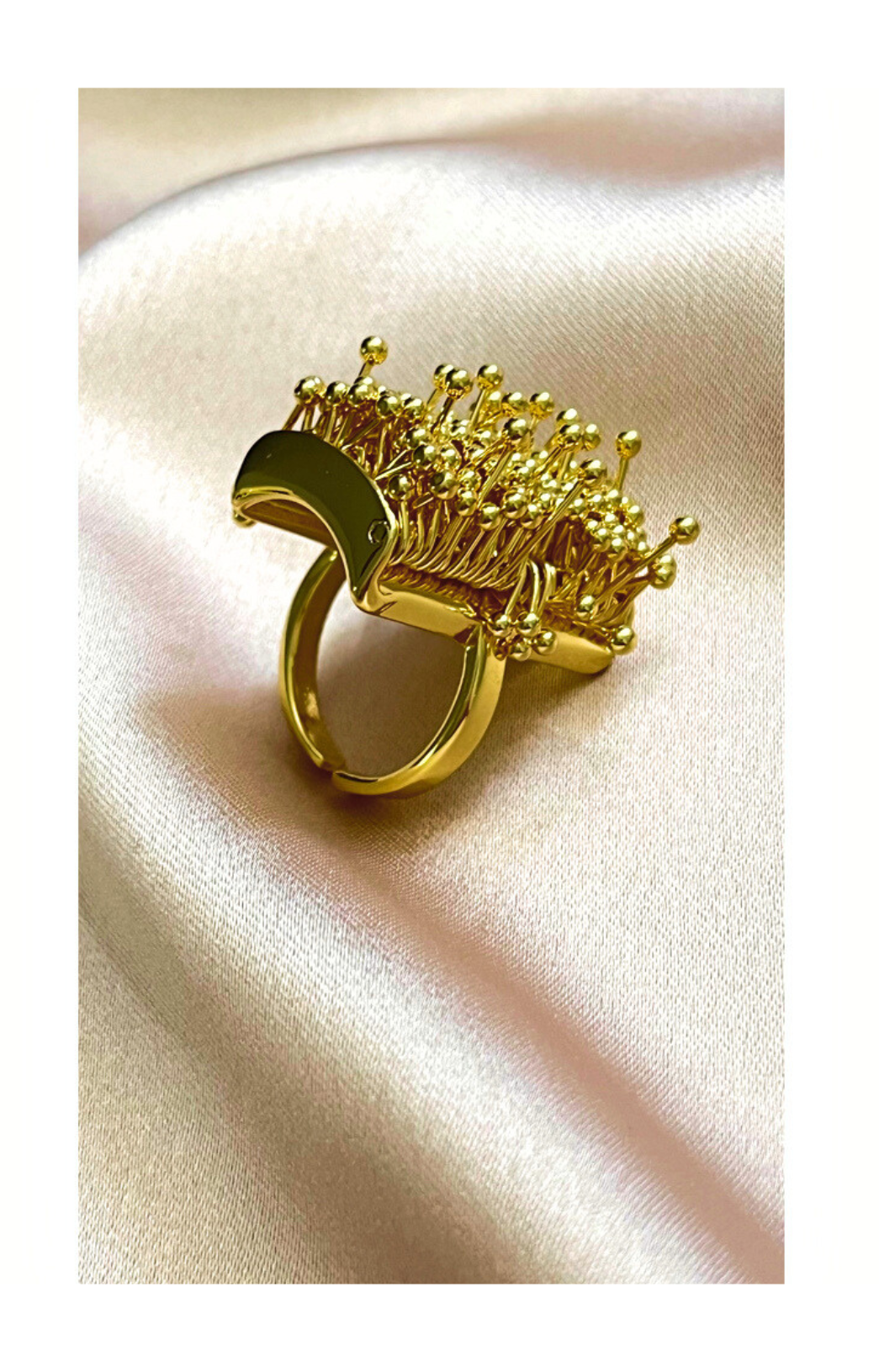 Geometric Open Ring