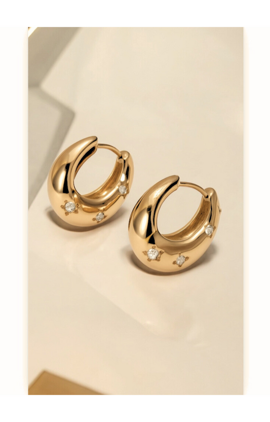Fashion Hoop earrings
